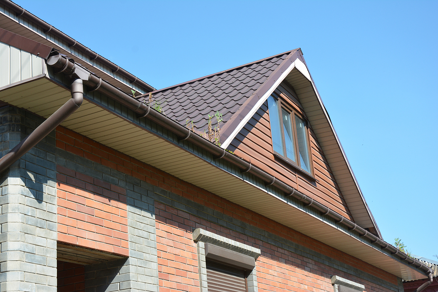 Rain gutter with downspout pipe. Small trees growing in rain gutter and need to gutter cleaning